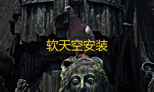 和平精英透视怎么开软天空安装