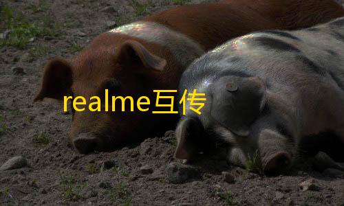 无卡密直装免费挂realme互传